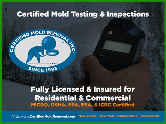 Certified Mold Removal Inc.