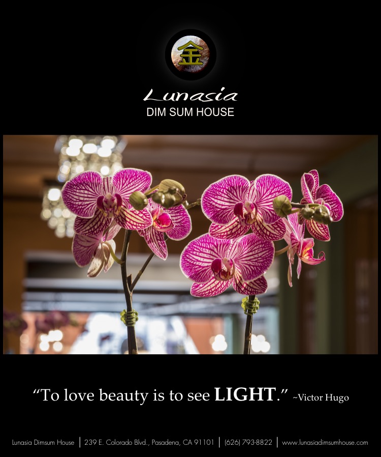 Lunasia Dim Sum House 