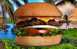 Cool Cat Cafe - Lahaina Maui