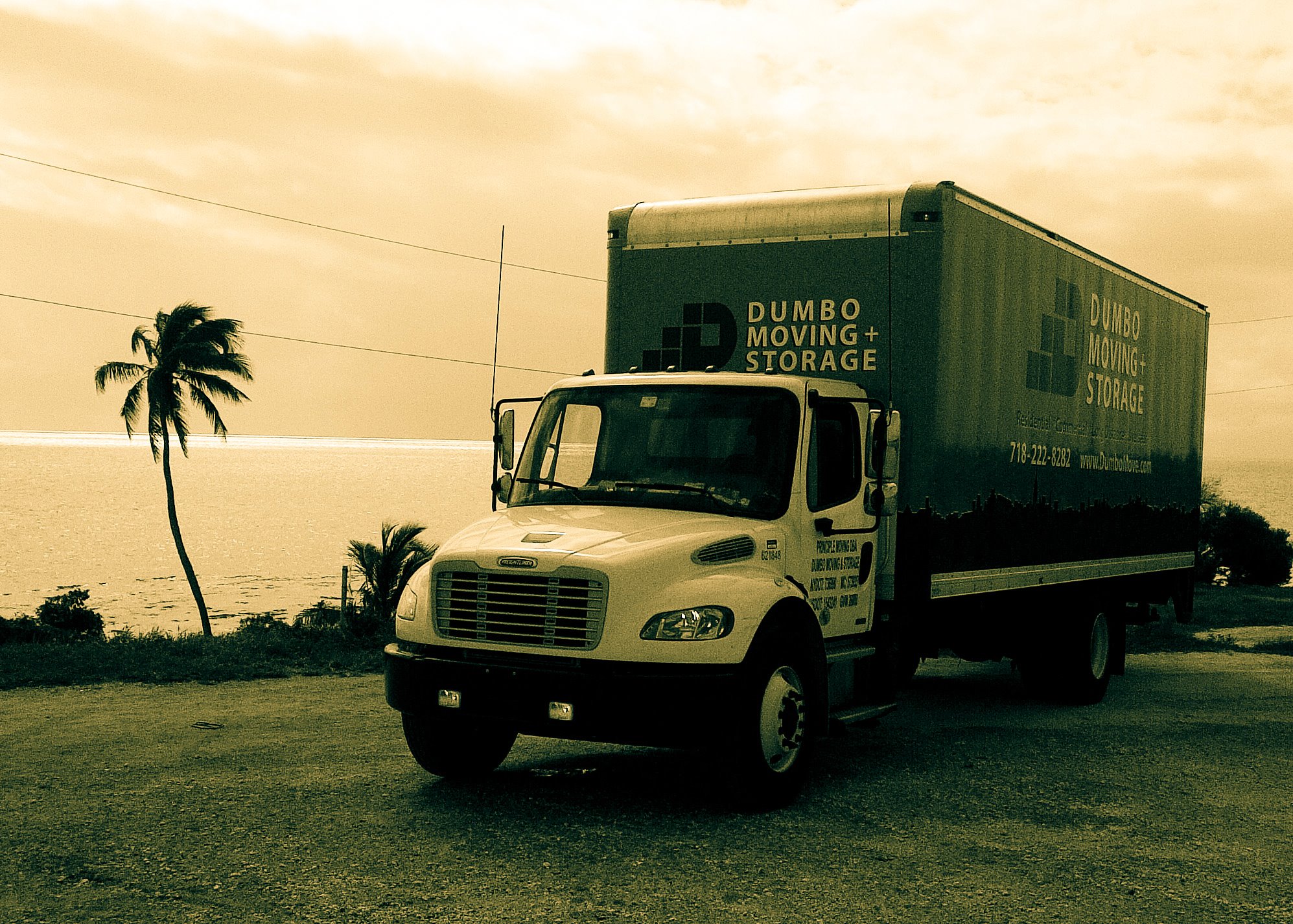 Dumbo Moving and Storage